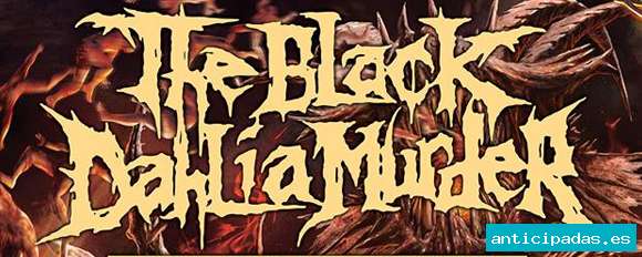 Banner del evento