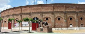 Plaza de Toros-Medina del Campo