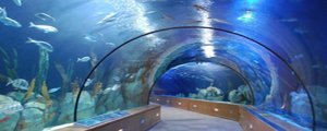 Acuario de Sevilla-Sevilla